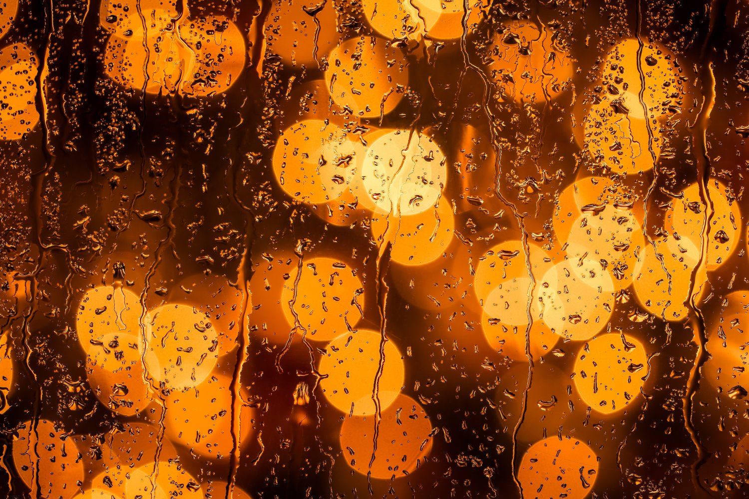 1500x1000 Ideas for Rainy Day Photography