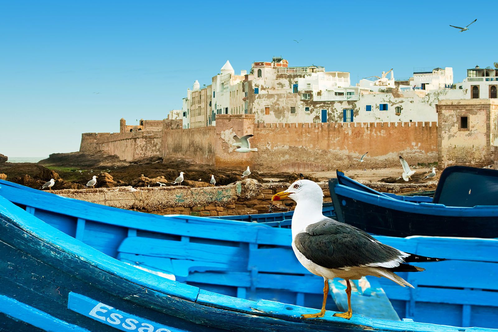 1600x1067 Essaouira Mogador, Bride Of The Atlantic