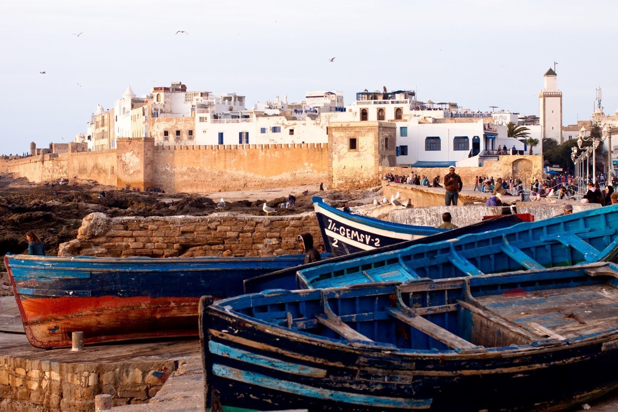 2048x1366 Visit Essaouira Coast: 2026 Essaouira Coast, Essaouira Travel Guide
