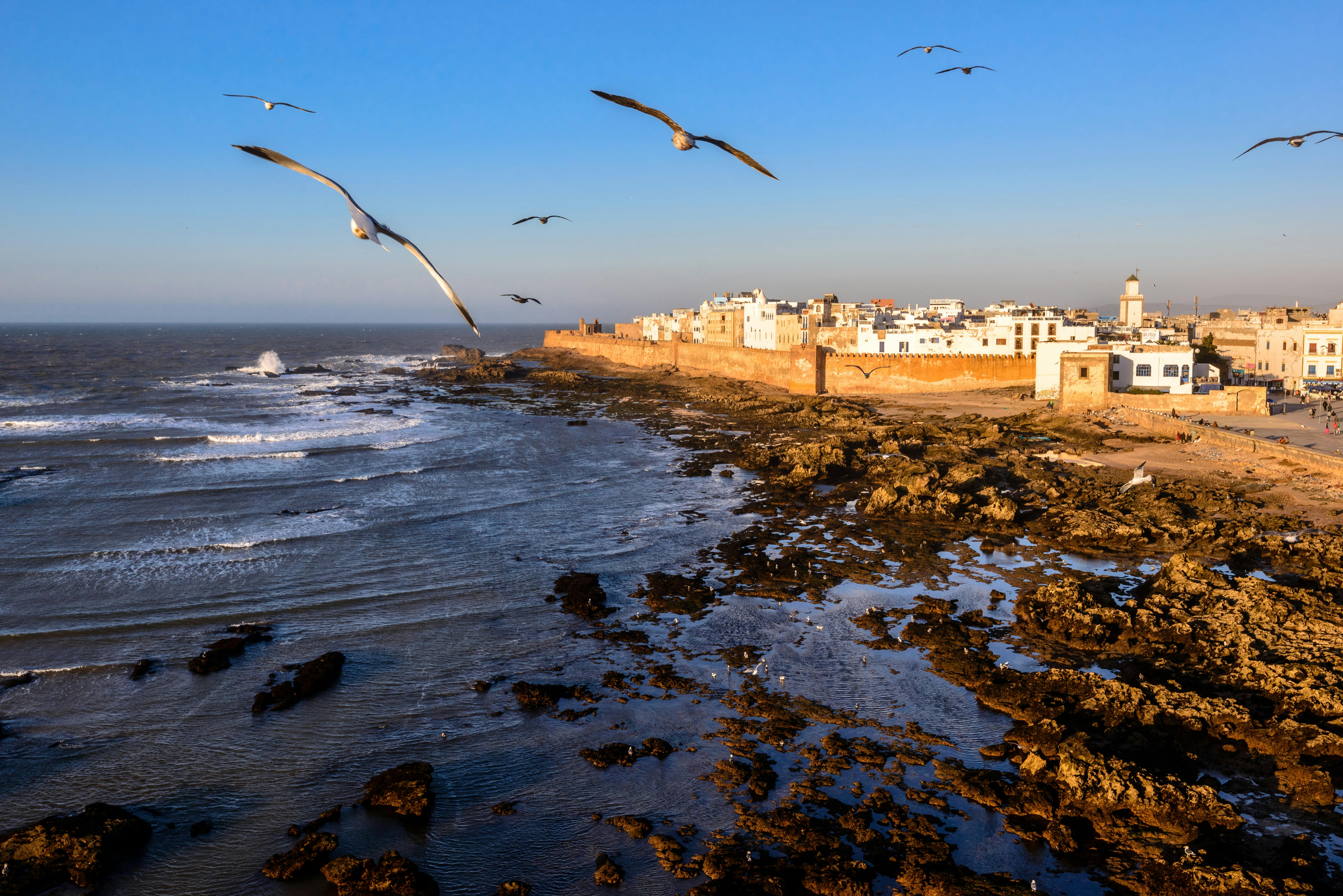 7360x4912 Essaouira banque d'image et photo libres de droit · Téléchargement gratuit · Photo
