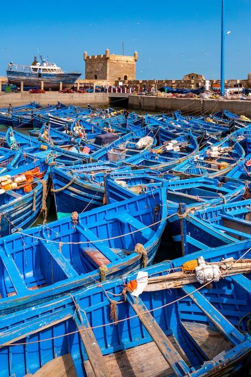 493x740 Essaouira Image