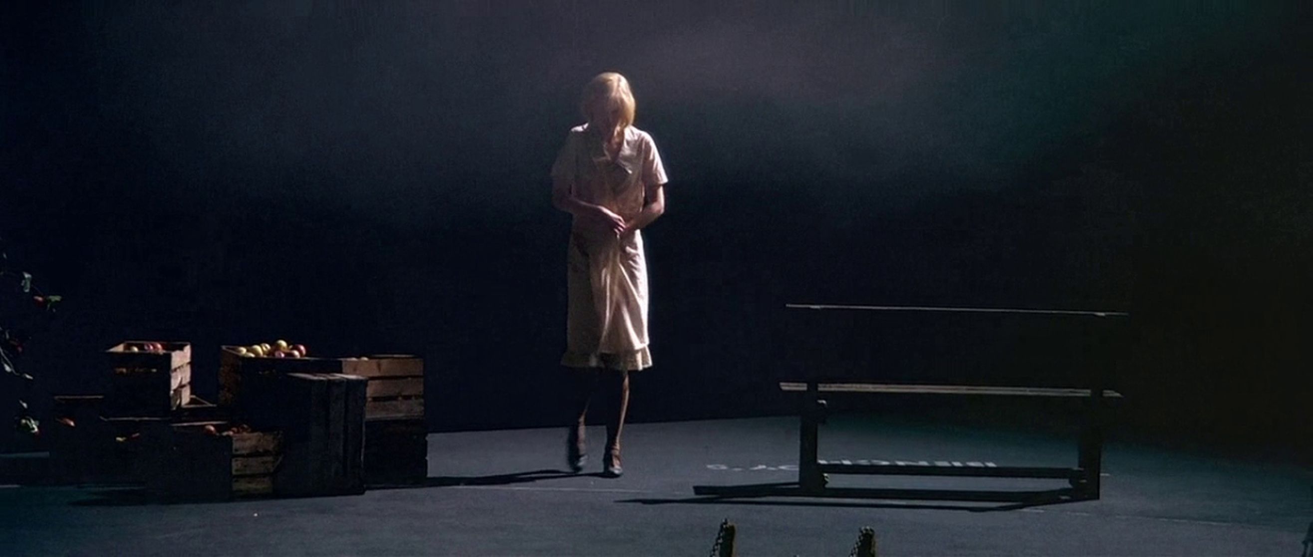 2631x1118 Picture of Dogville