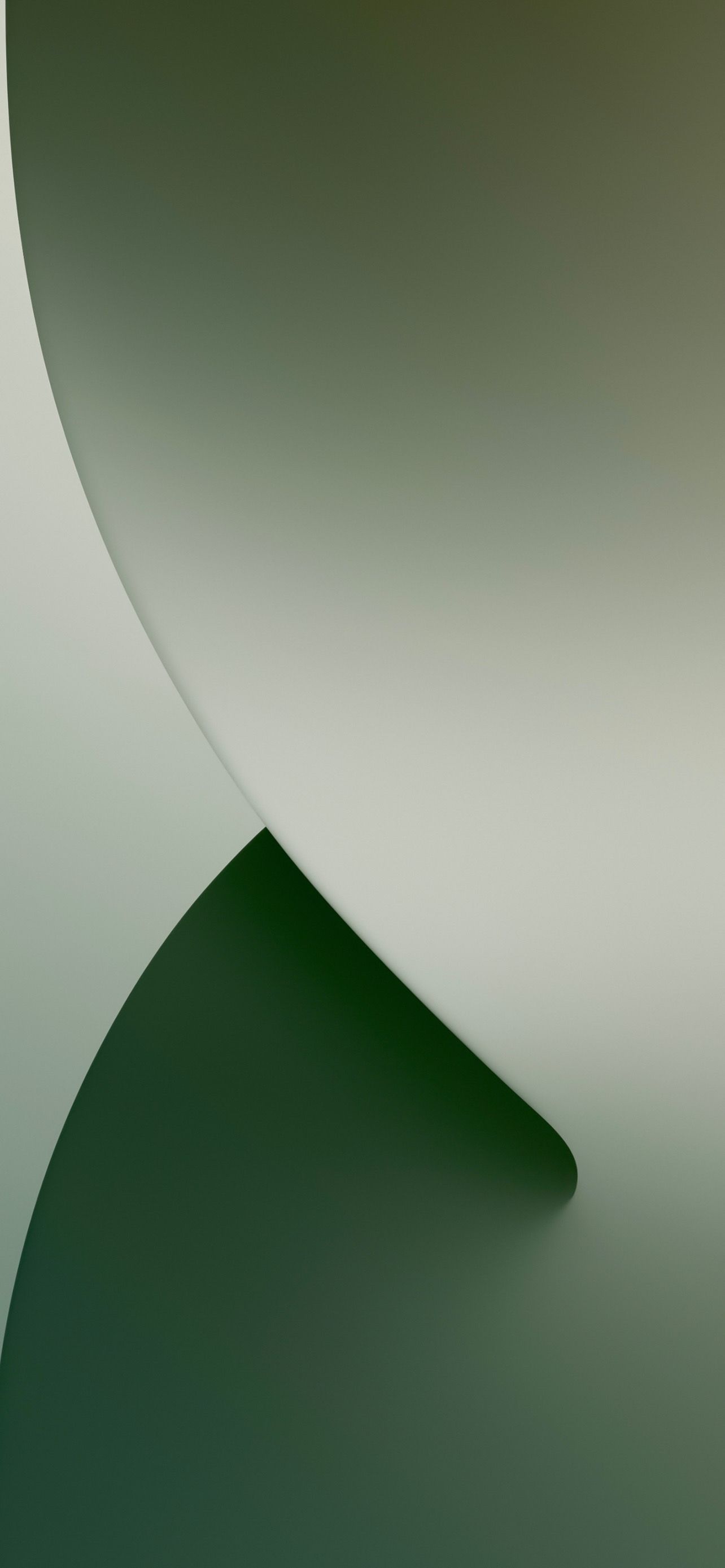 1284x2778 iPhone 13 Pro Green Wallpaper