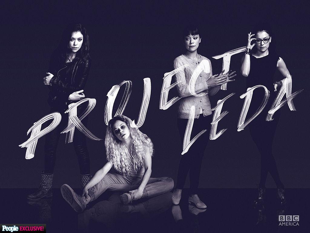 1024x768 Free download Orphan Black Ari Millen on the Fight for Survival as