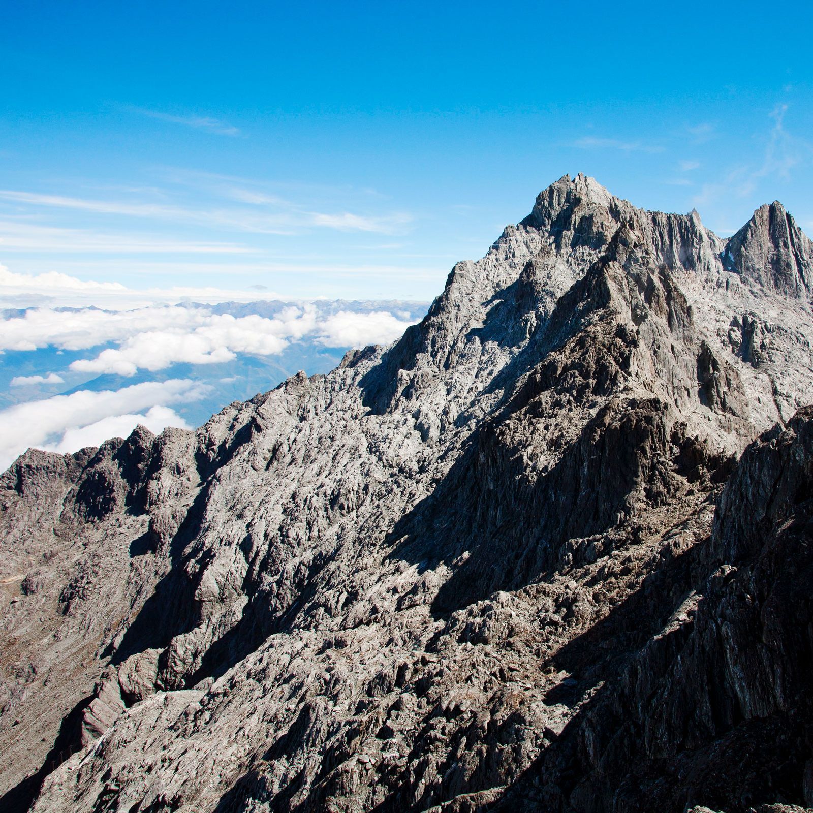 1600x1600 Hints of New Life in the Shadows of Venezuela's Last Glacier