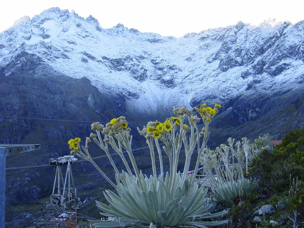 1024x768 8. Pico Bolivar. Pico Bolívar, located in Merida State, is