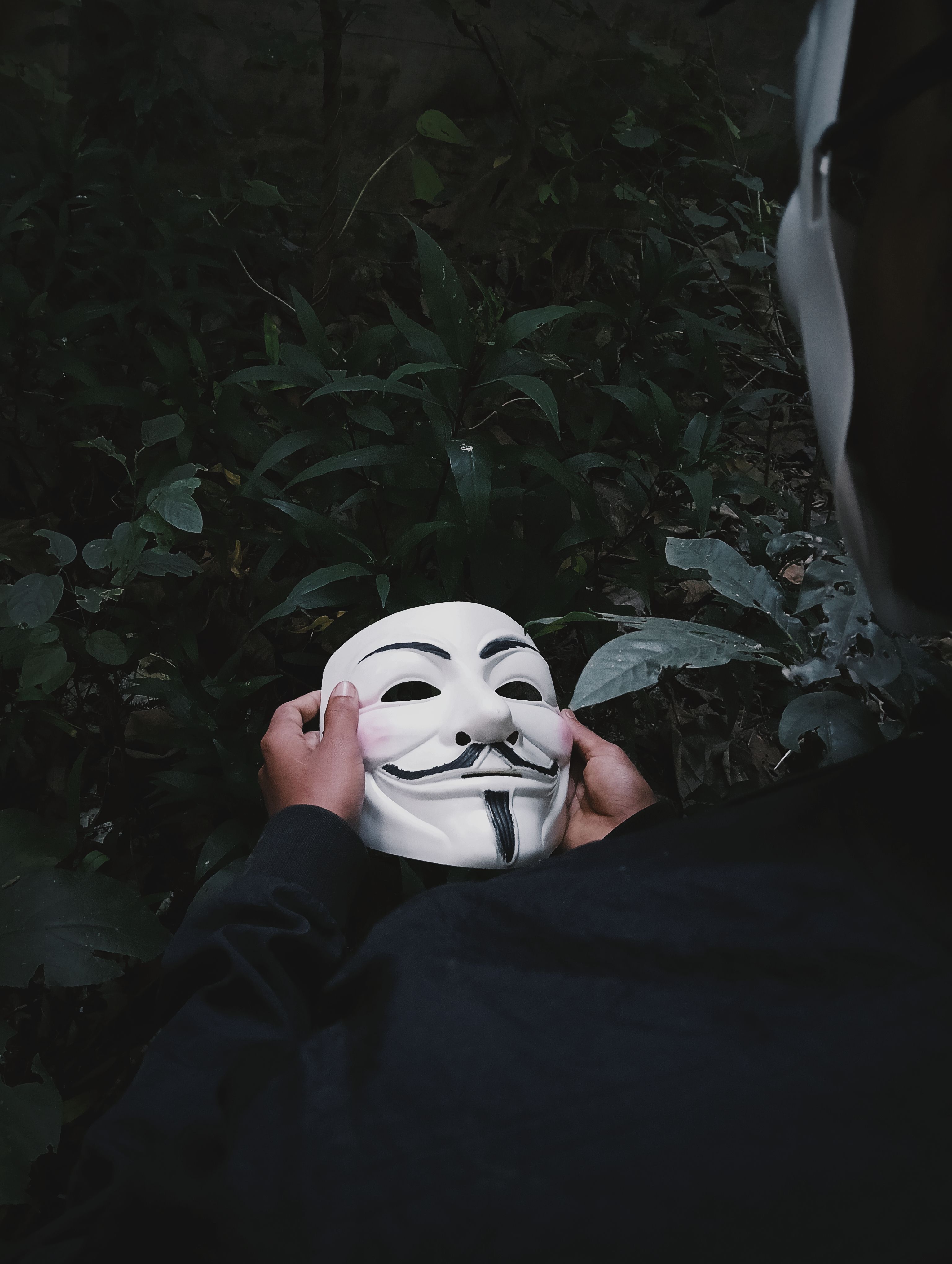 3072x4080 7.Foto Gambar Topeng Lucu Cowok Terbaik · Unduh Gratis 100% · Foto Stok