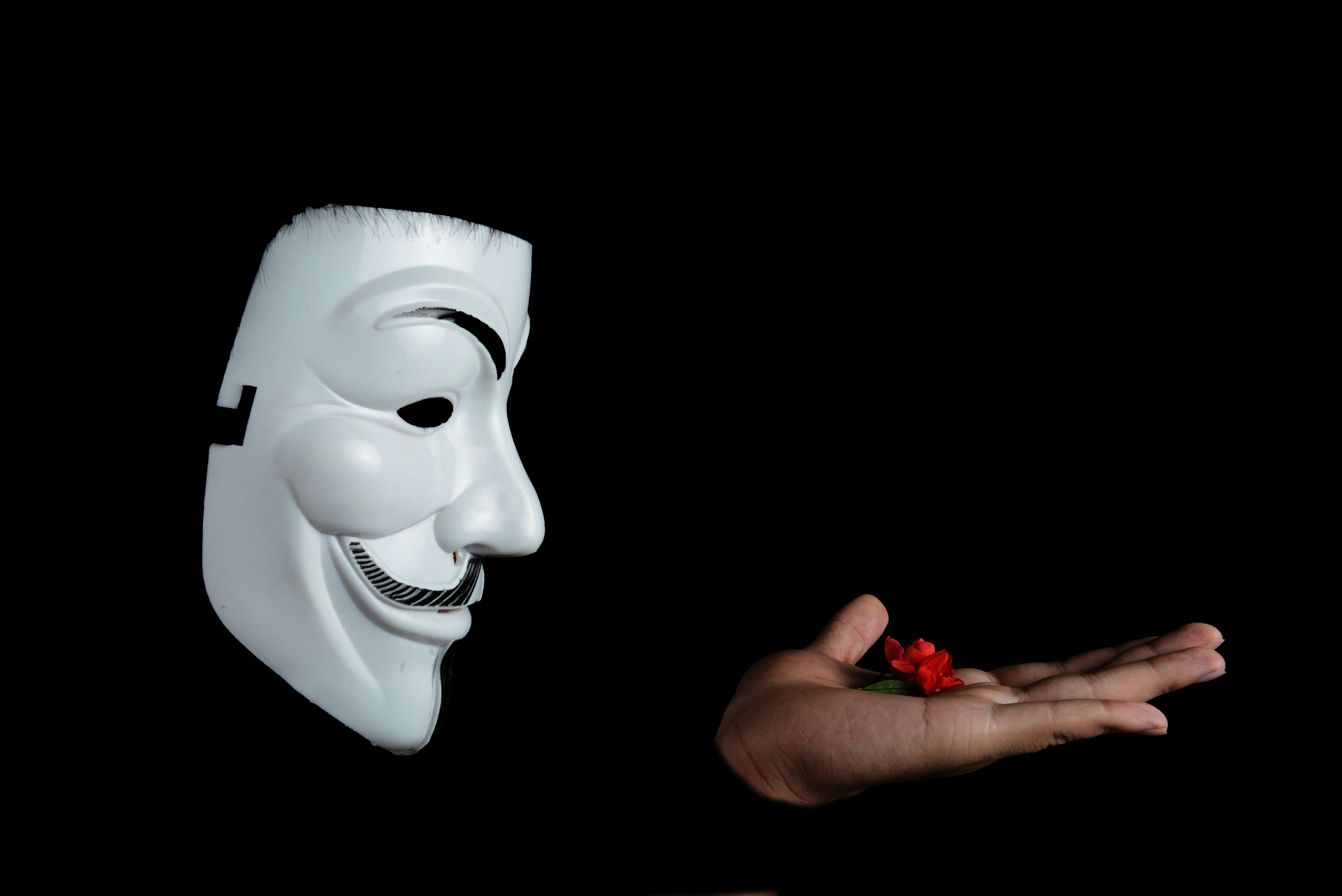 6016x4016 Topeng Guy Fawkes Dan Bunga Merah Di Tangan · Foto Stok Gratis