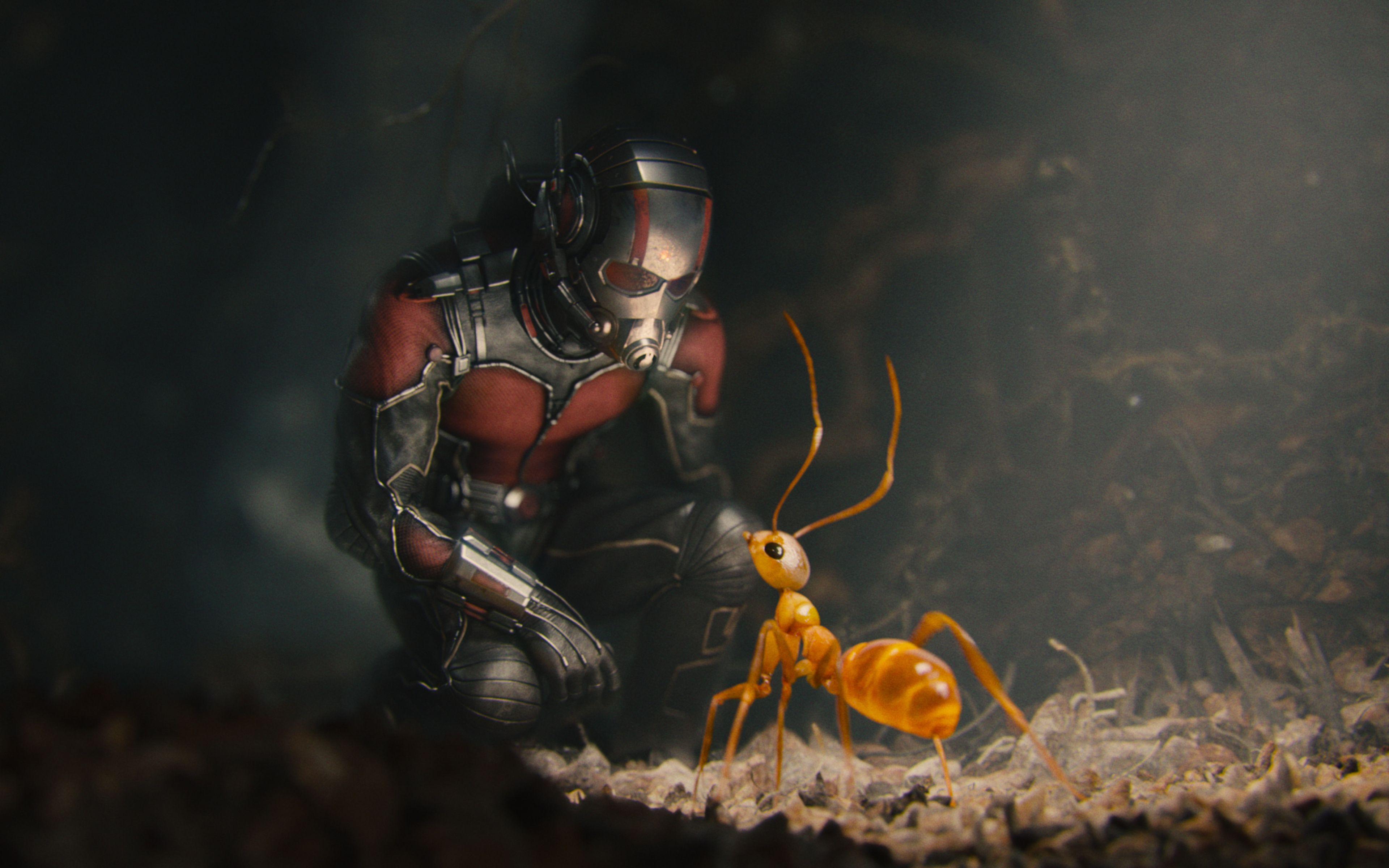 3840x2400 Ant Man Marvel Movie Hero HD Background Wallpaper