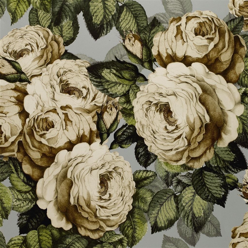 1024x1024 The Rose Steel PJD6002 06 Wallpaper