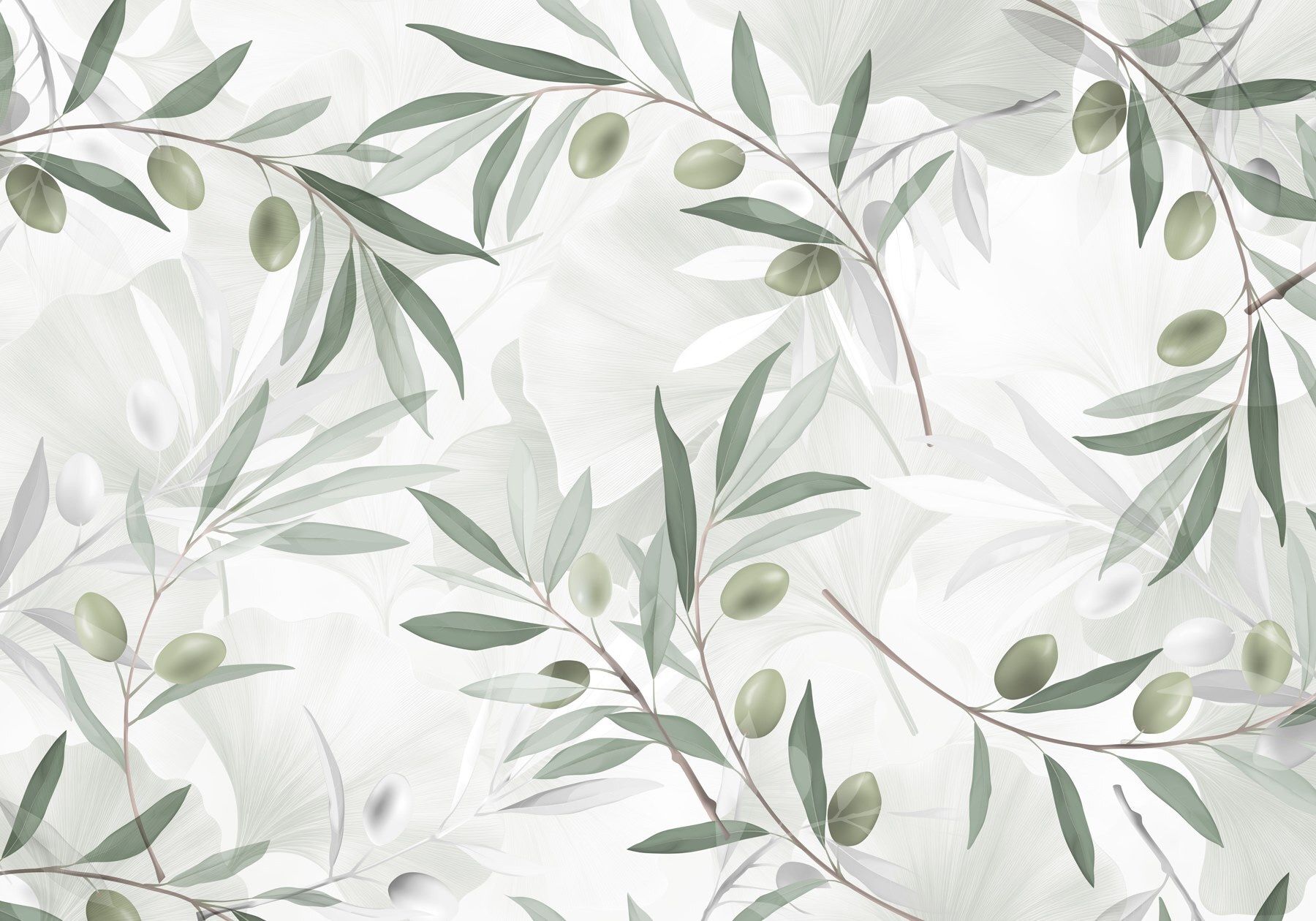 1800x1260 Wall Mural Olive branches with green leaves and olives on a light background, Wall Murals Nature, w08576 :