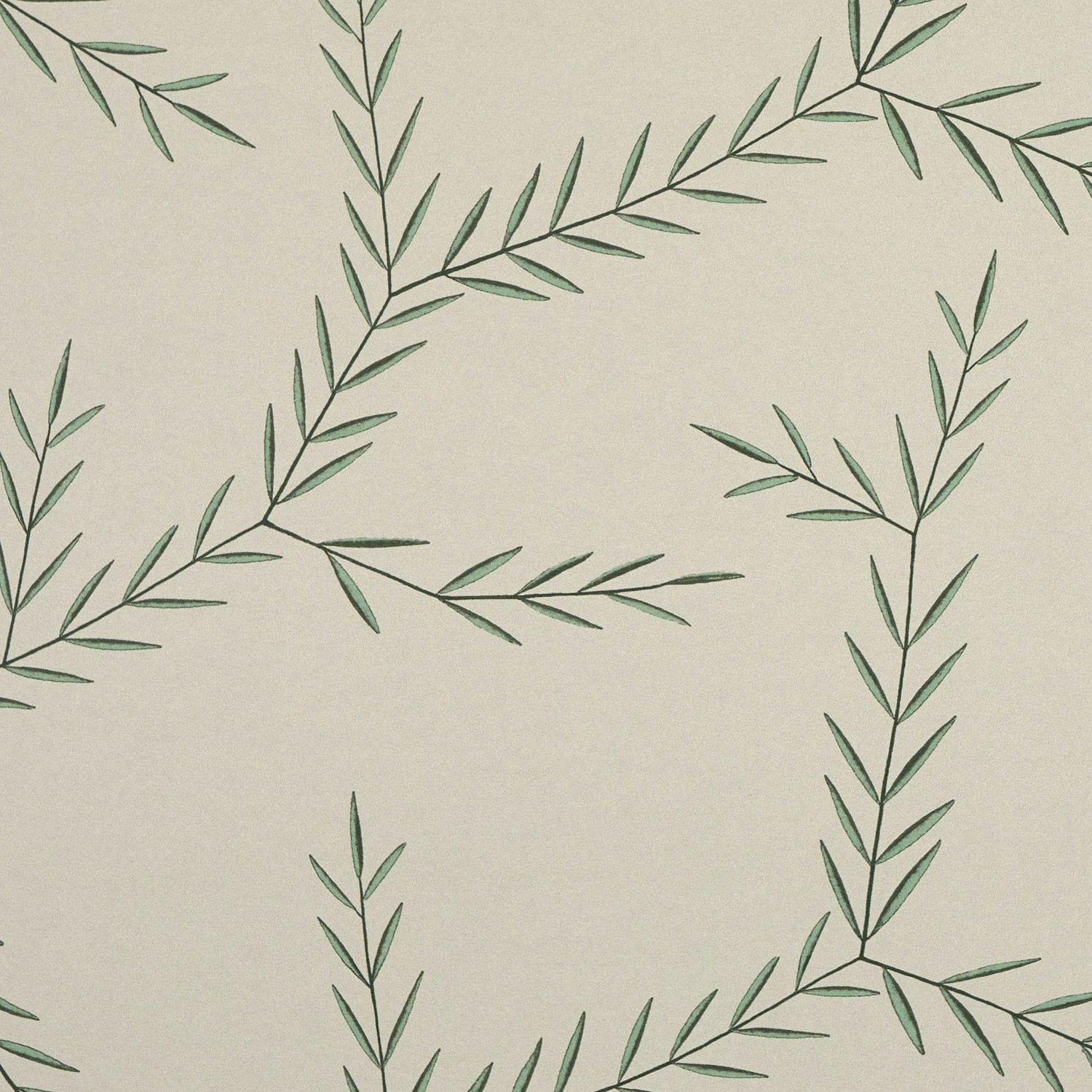 1500x1500 Olive Branch
