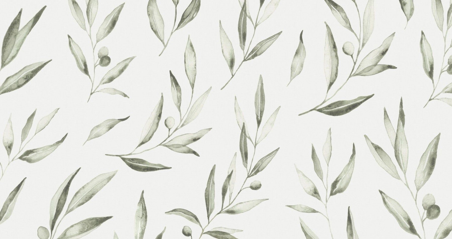 1800x954 Whimsical Olive Leaf