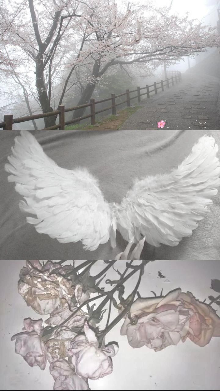 720x1280 tags, , morute doll core aesthetic coquette creepy cute. Фоновые рисунки, Японские цветы, Пейзажи