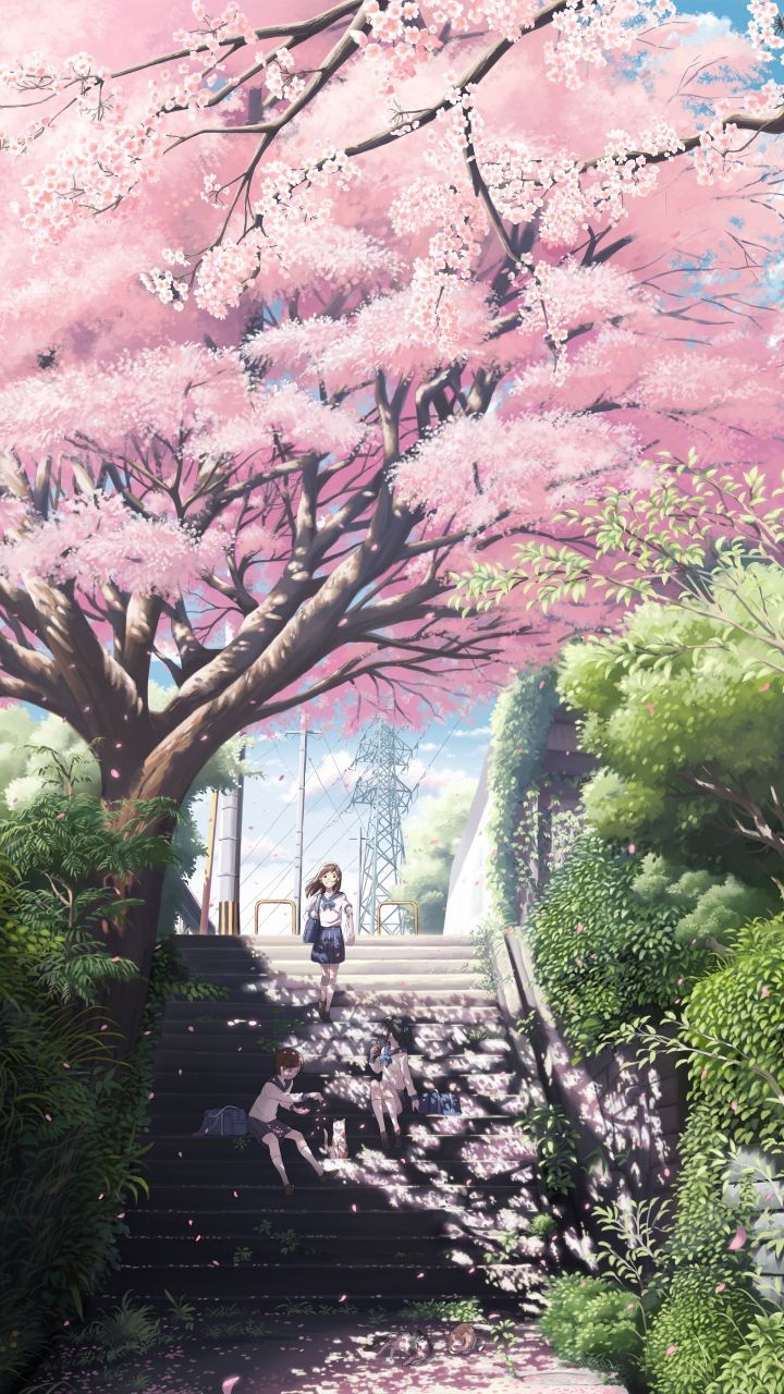 720x1280 720x1280px. free download. HD wallpaper: cherry blossom illustration, original characters, cherry trees