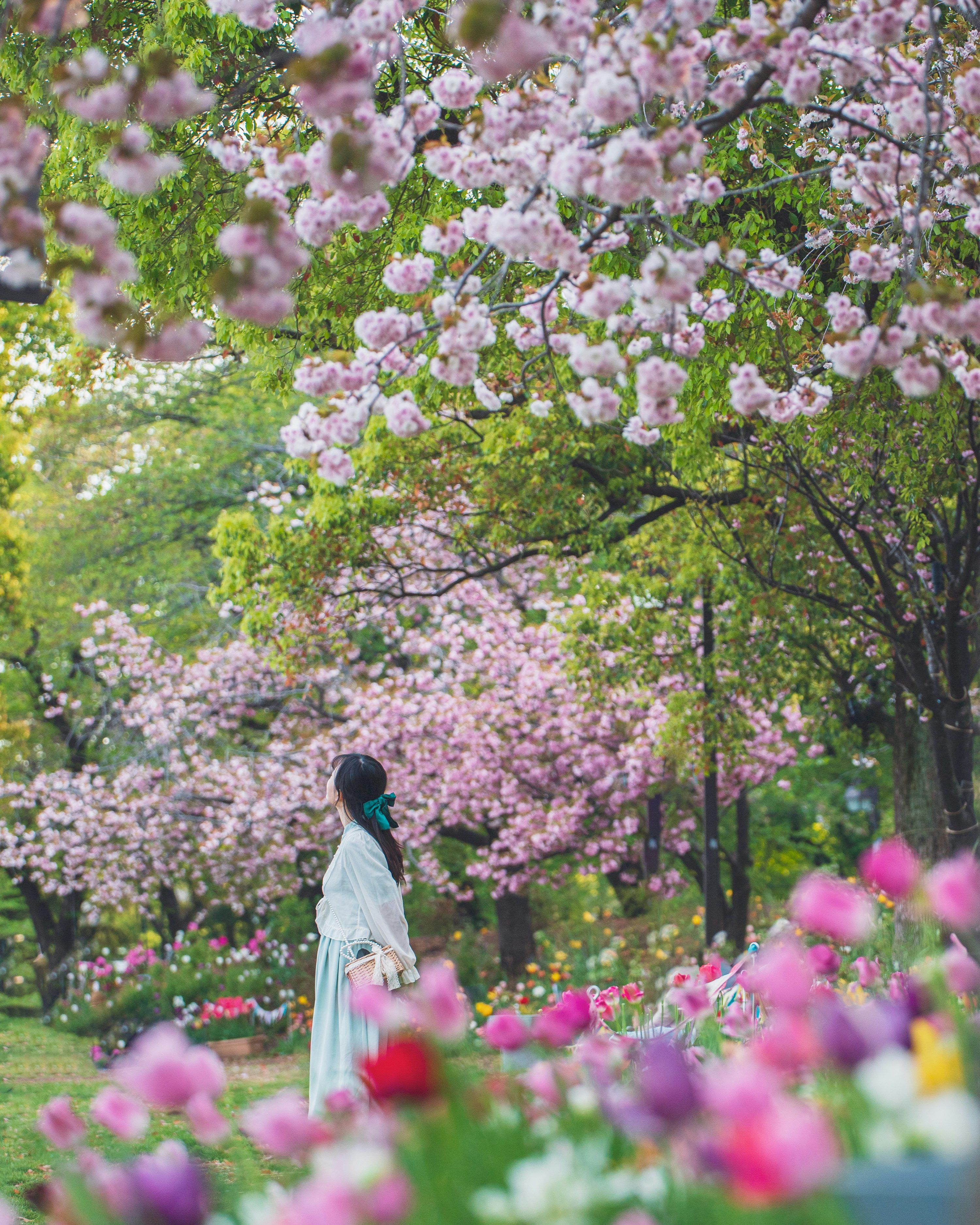 3000x3750 A person standing in a garden photo