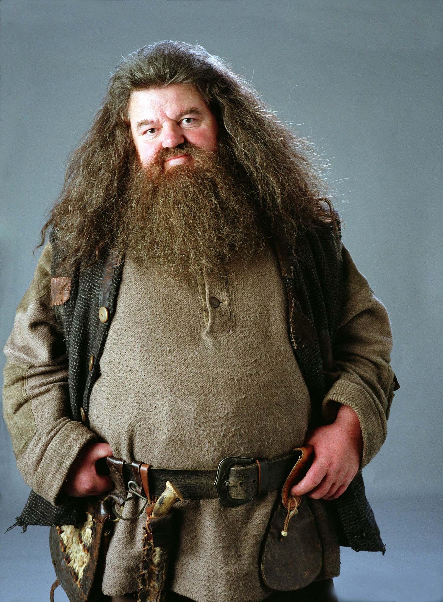 1500x2035 Hagrid Wallpaper