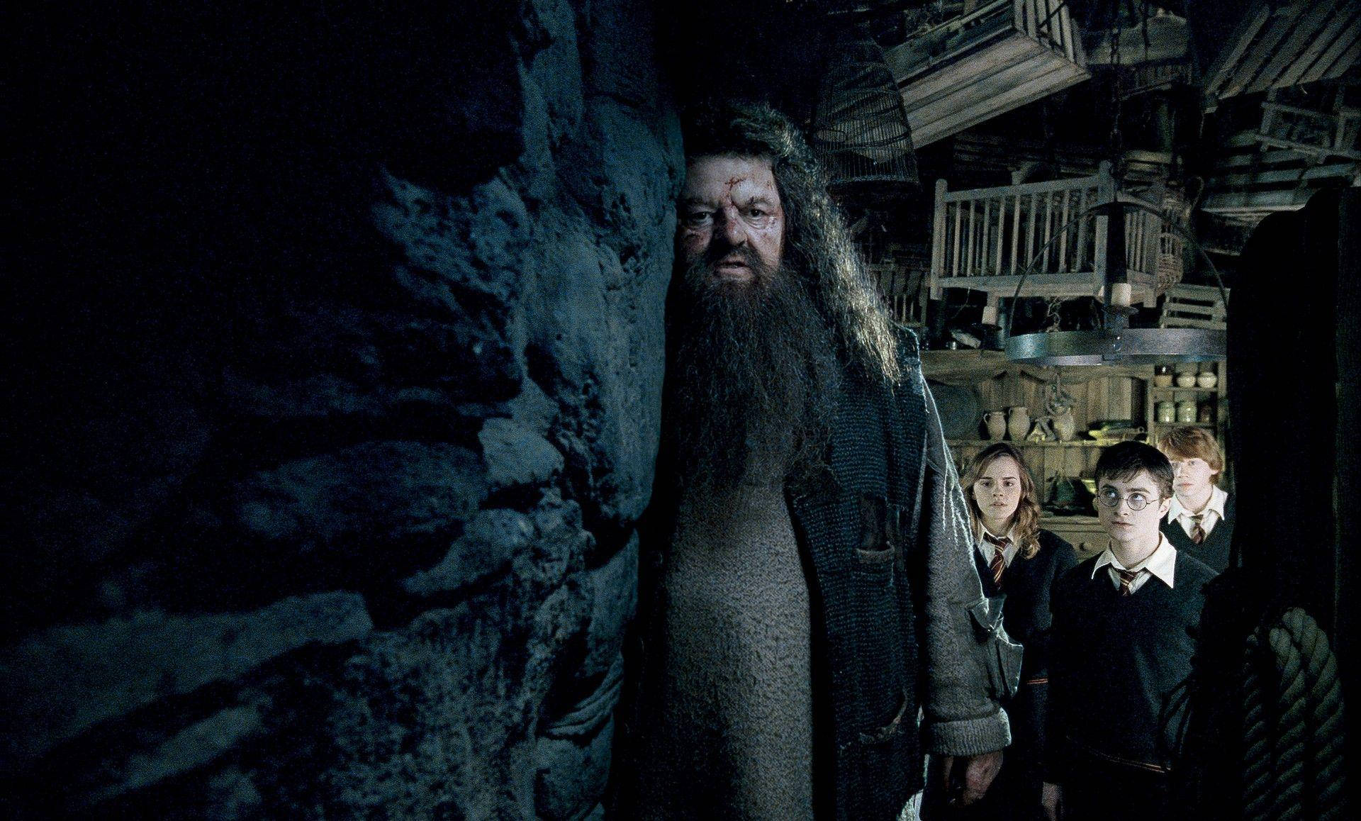 1920x1158 Rubeus Hagrid Wallpaper