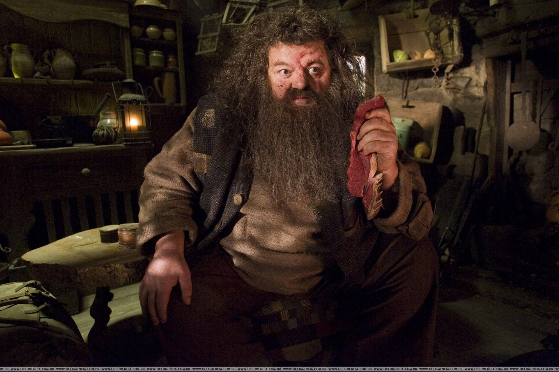 1920x1280 Download Giant Rubeus Hagrid Wallpaper