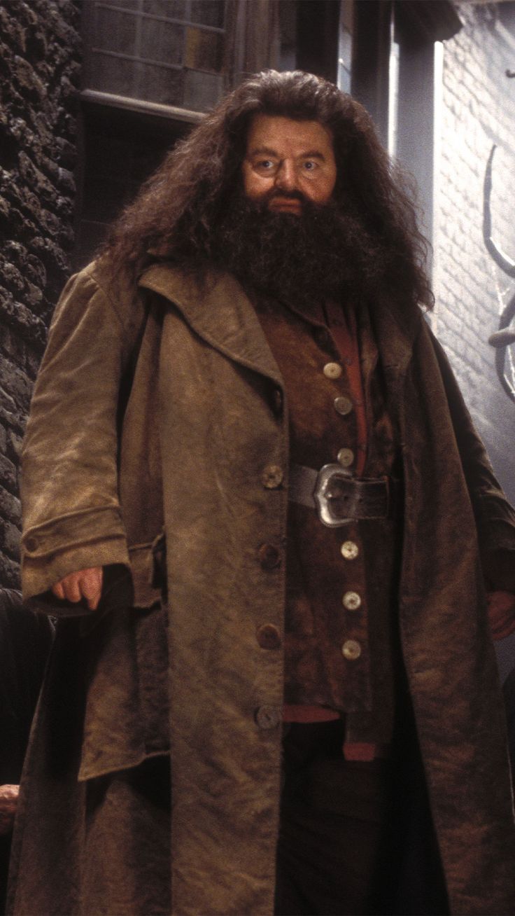 736x1308 Harry Potter and the Prisoner of Azkaban phone wallpaper