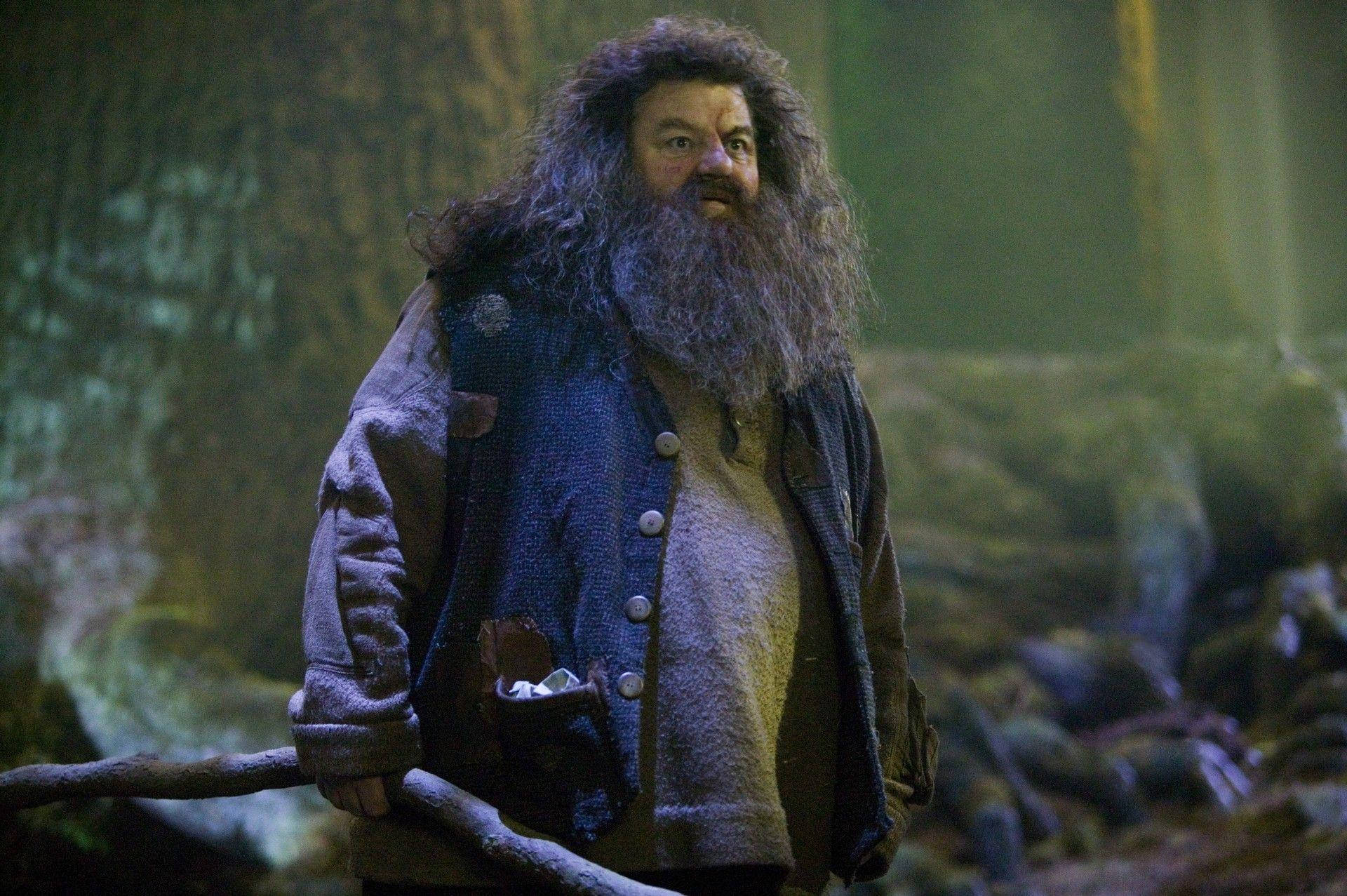 1920x1277 Download Rubeus Hagrid Harry Potter Film Wallpaper