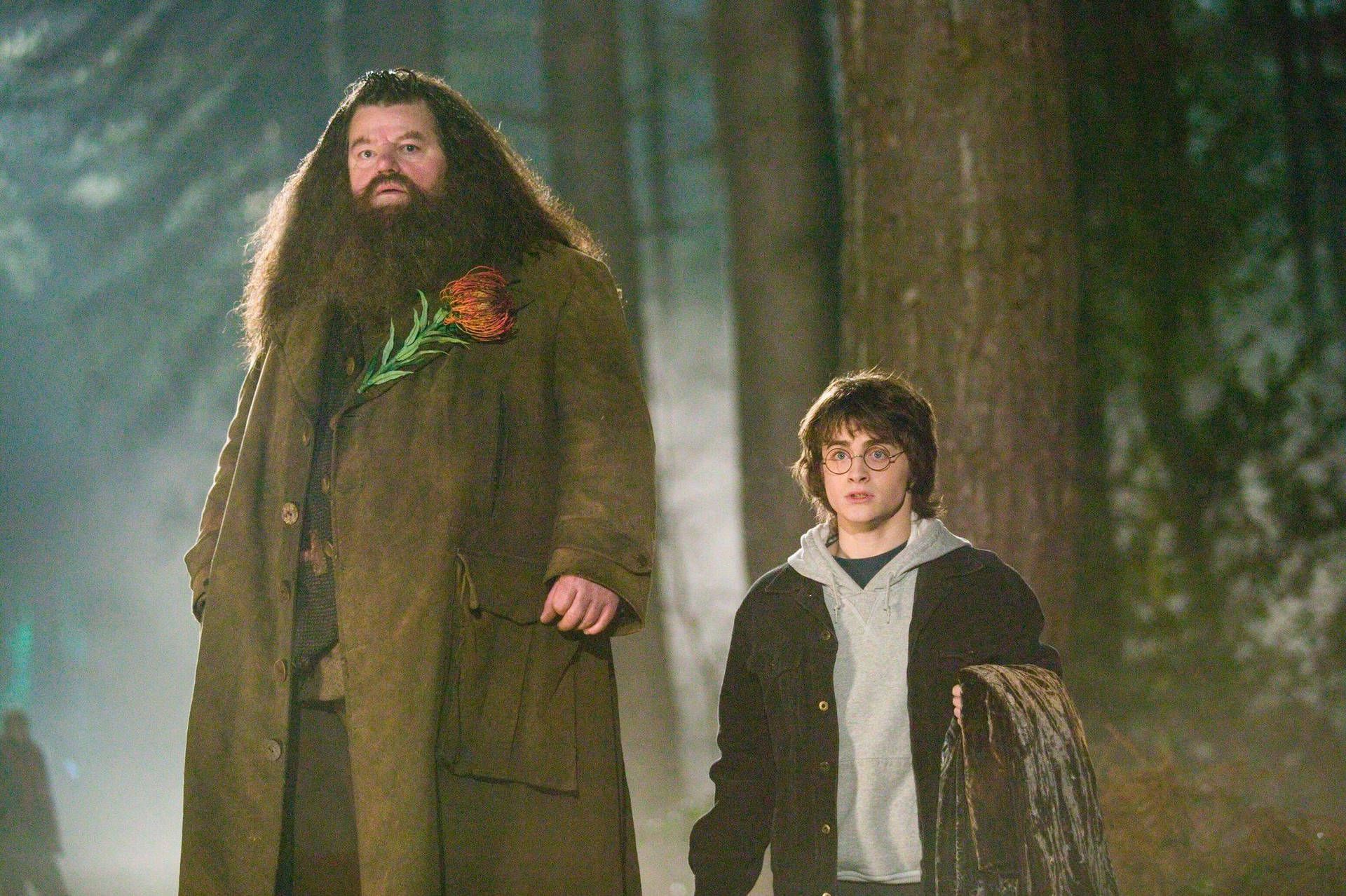 1920x1278 Download Rubeus Hagrid And Young Harry Potter Wallpaper