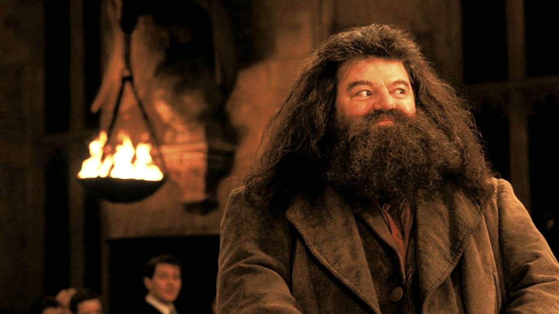 1920x1080 Happy birthday, Rubeus Hagrid!
