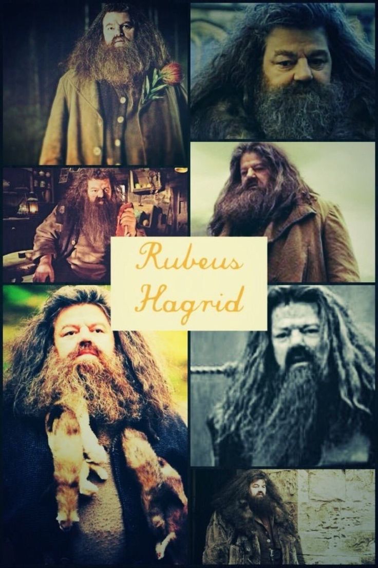 736x1105 Hagrid wallpaper. Hagrid background, Rubeus hagrid aesthetic, Wizarding world of harry potter