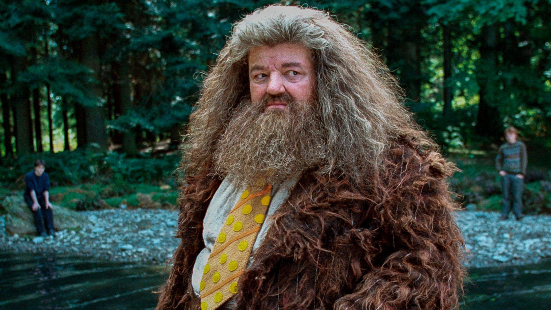 1920x1080 Harry Potter director delivers scathing comment after seeing first photo of Hagrid