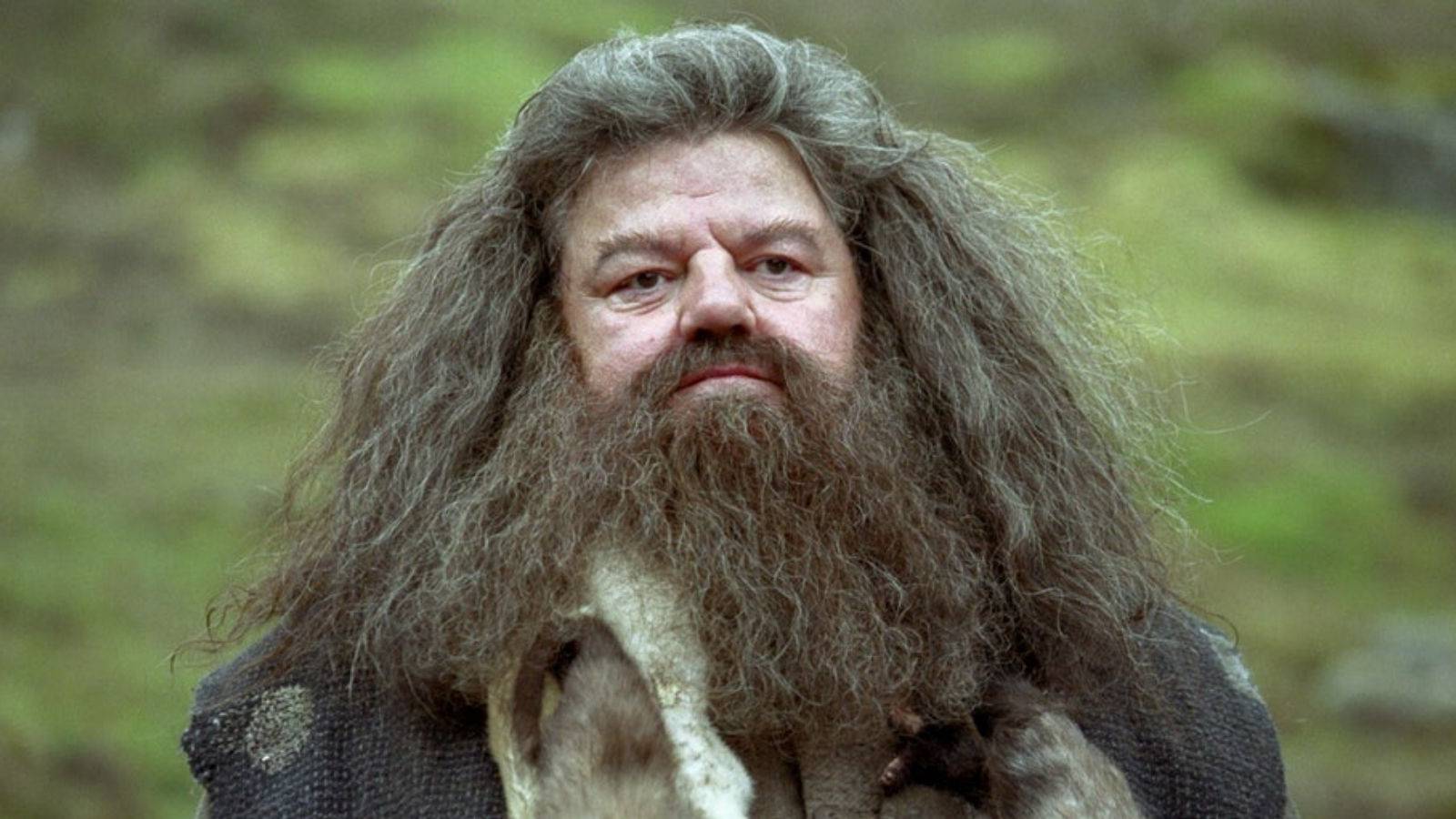 1600x900 Harry Potter: 5 Ways Hagrid Was A Good Friend To Harry (5 He Wasn't)