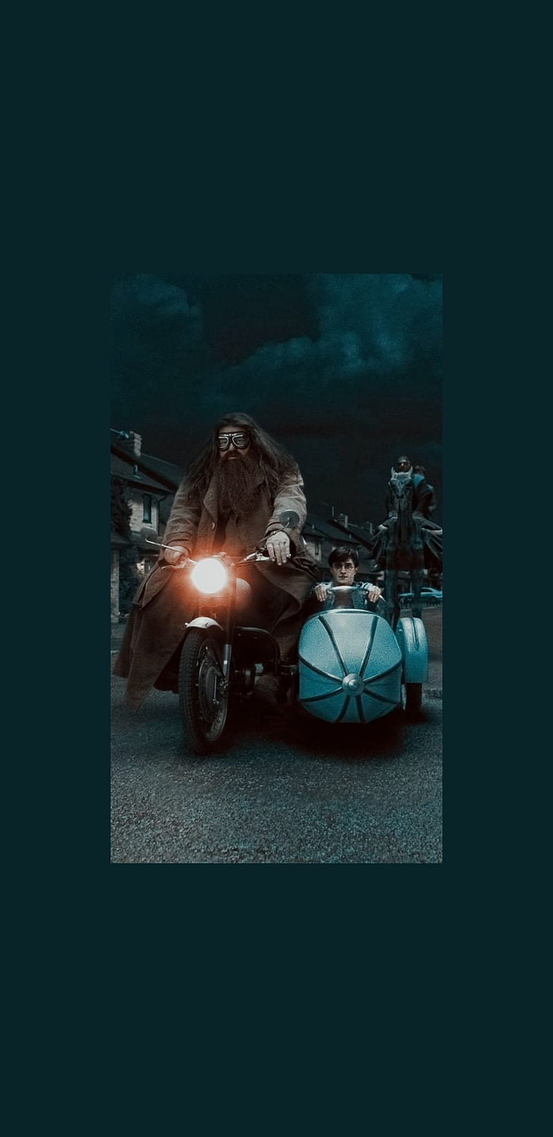 800x1643 Hagrid, wr, rth, efegerg, erg, rtgh, HD wallpaper