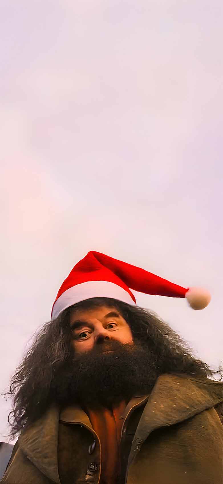 782x1692 Hagrid Santa Hat Christmas Wallpaper Potter Wallpaper