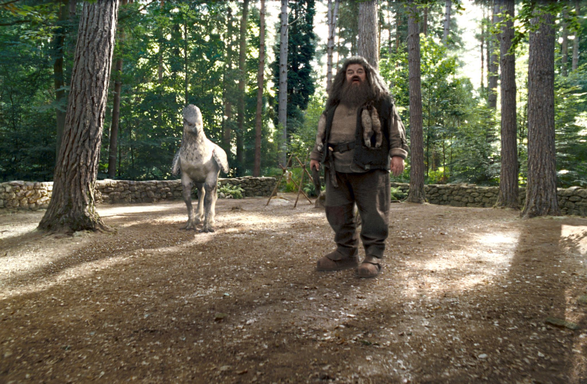 2048x1341 Harry Potter. Rubeus Hagrid Things You May NOT Know