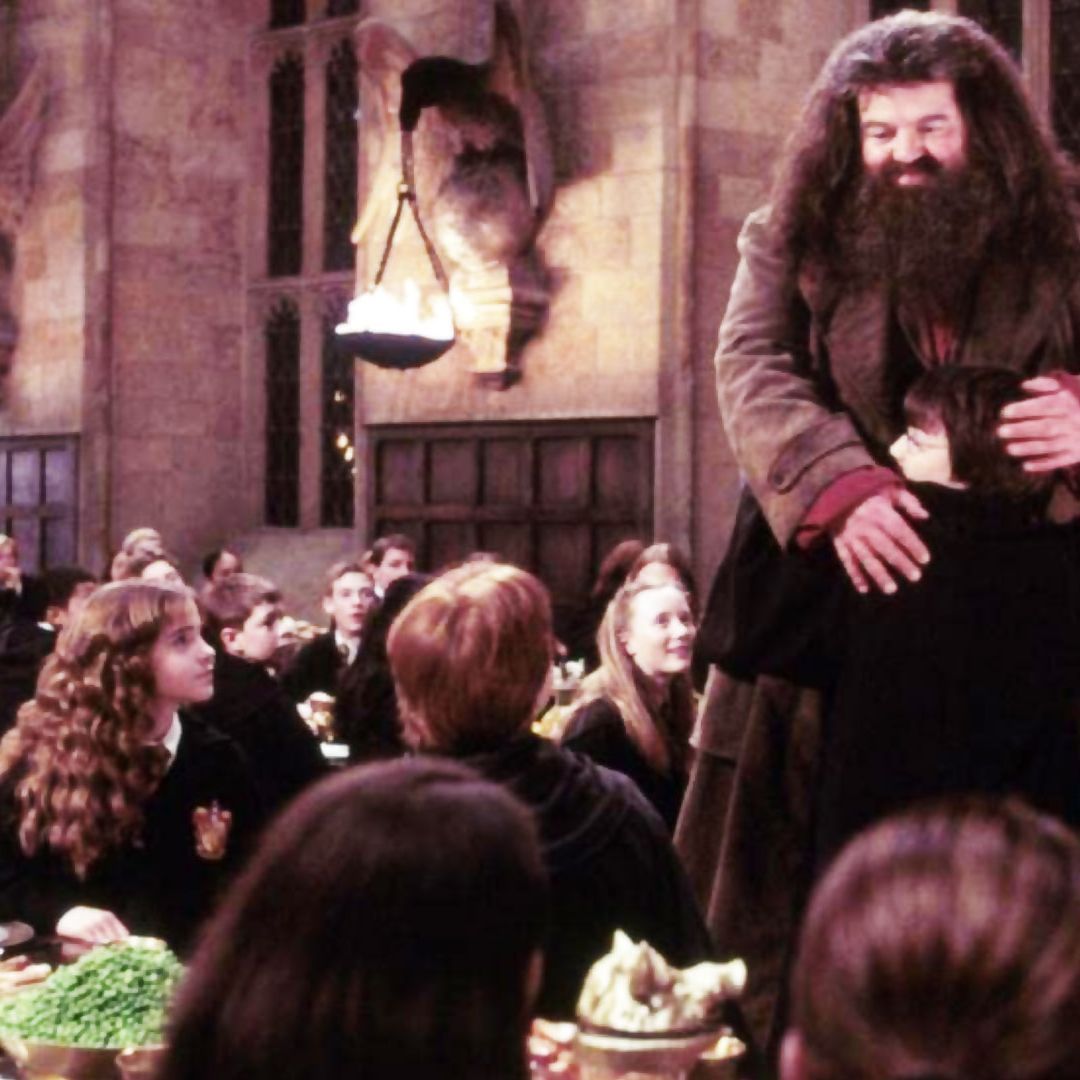 1080x1080 of Robbie Coltrane's best and most iconic moments as Rubeus Hagrid in the Harry Potter series