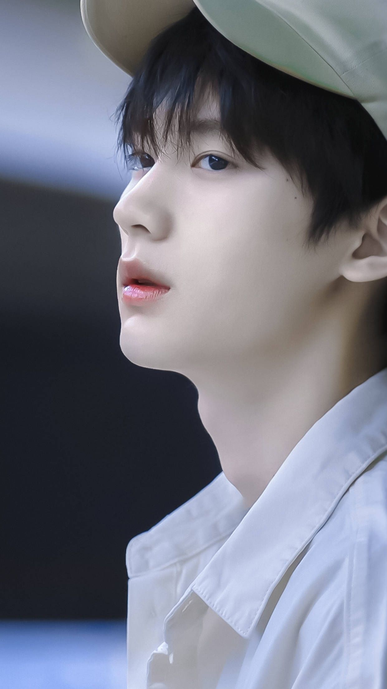 1242x2208 Yiran Zhou Wallpaper