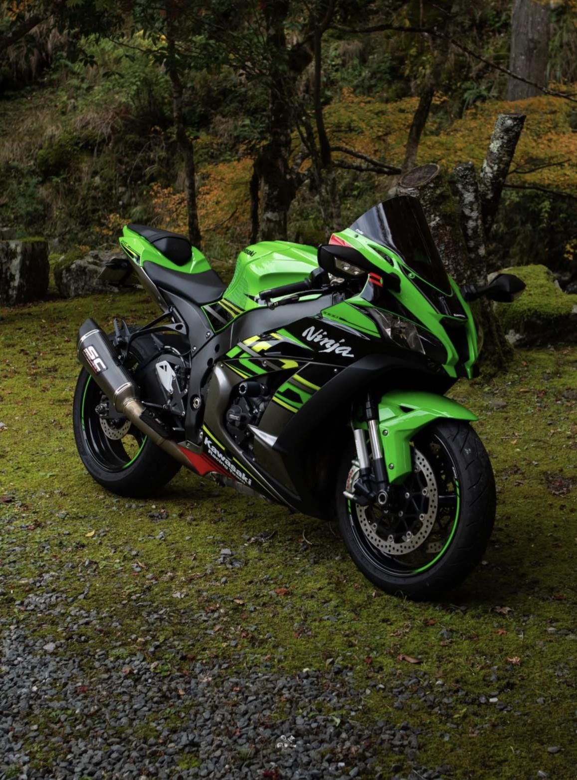 1157x1563 Need help for a 2019 ZX10R Poster / Wallpaper