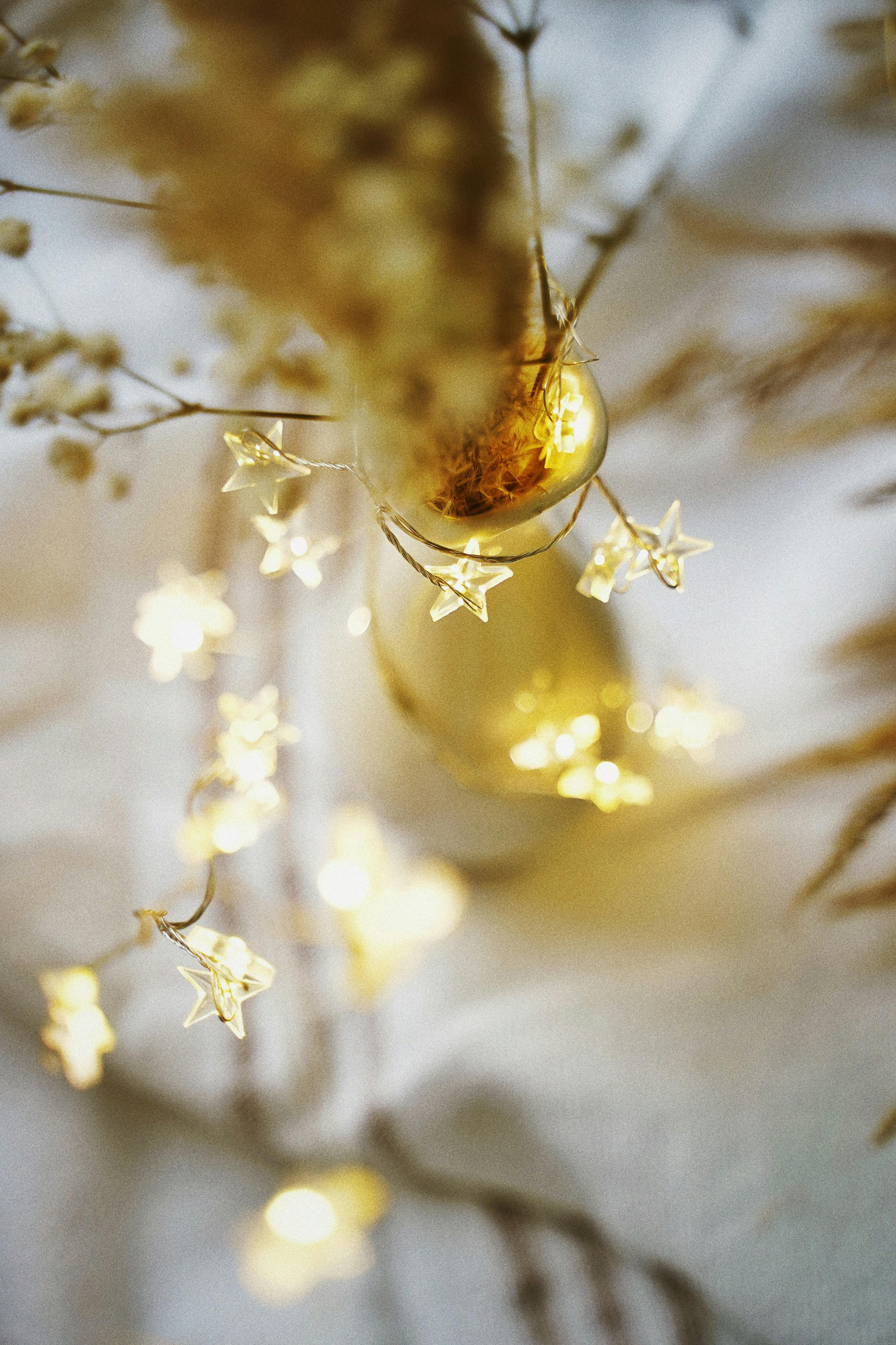 4000x6000 Star Shaped Christmas Lights · Free