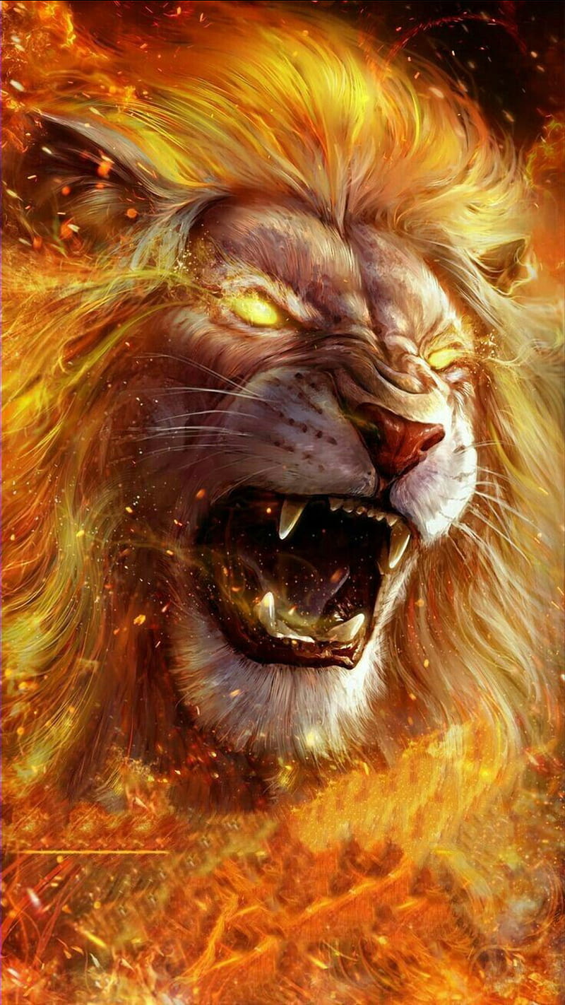 800x1422 HD angry lion wallpaper
