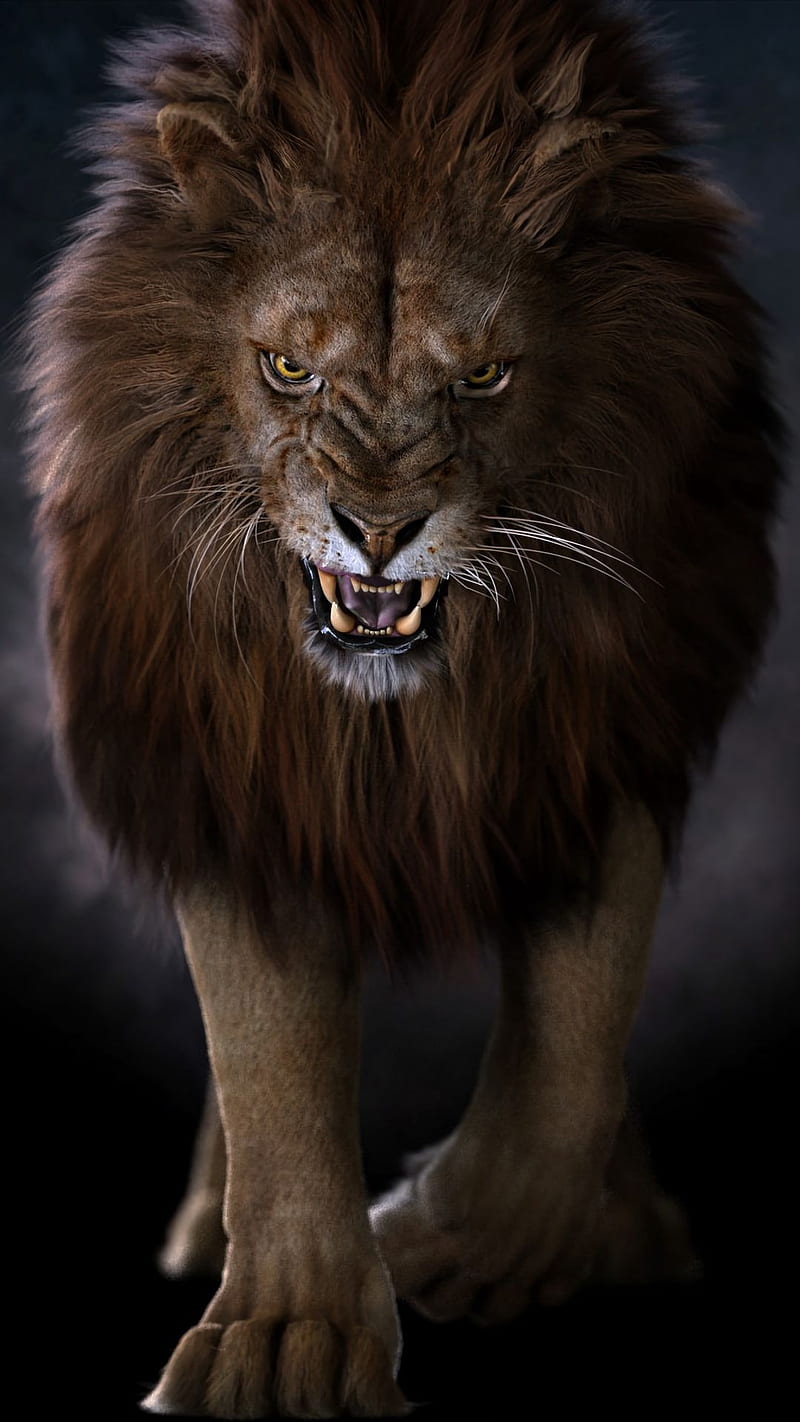 800x1422 1080P free download. Mad lion, angry, animal, king, teeth, wild, HD phone wallpaper