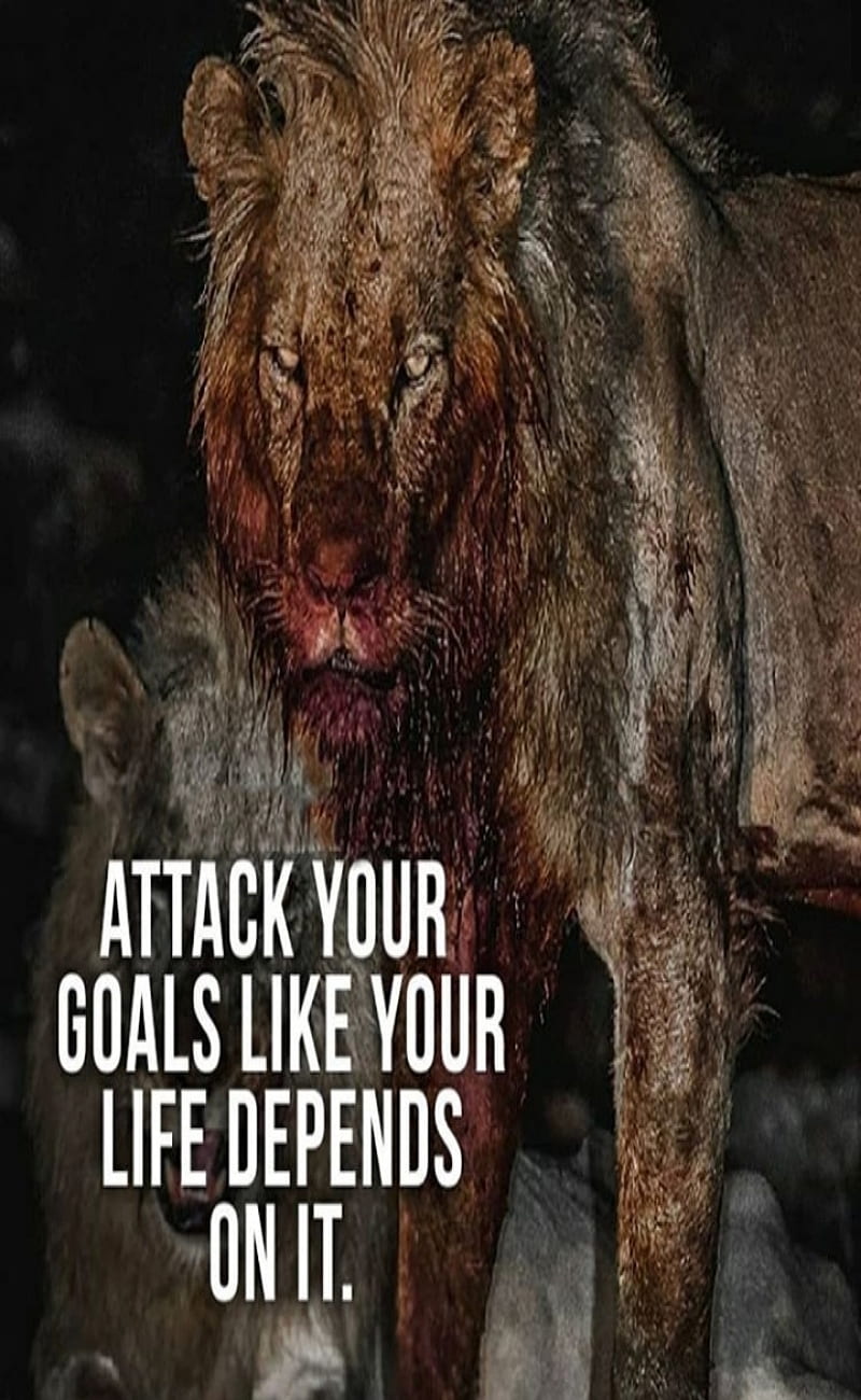 800x1300 Attack, brave, thoughts, HD phone wallpaper