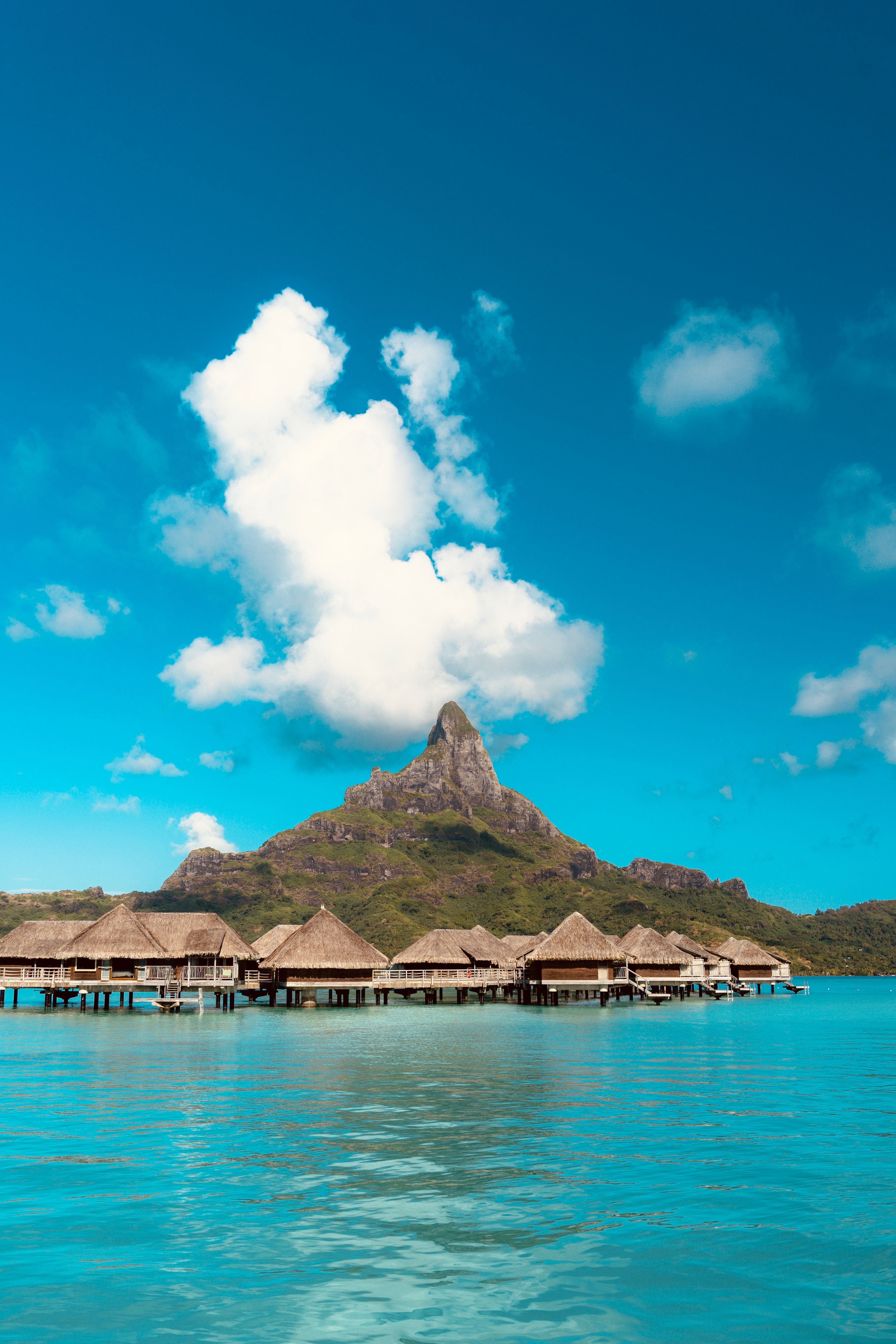 3630x5445 Bora Bora French Polynesia Photo, Download The BEST Free Bora Bora French Polynesia & HD Image