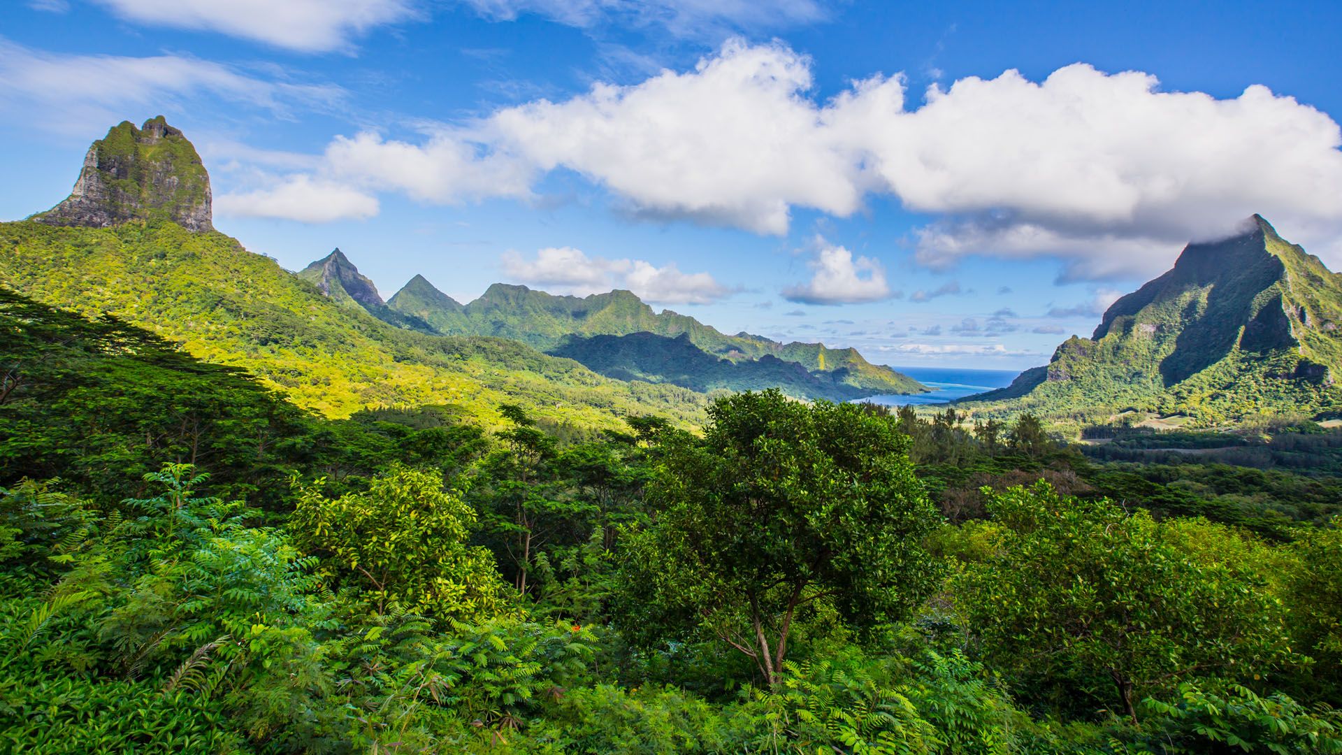 1920x1080 Opunoho bay on Moorea with mountains Mauaroa and Rotui, French Polynesia. Windows Spotlight Image