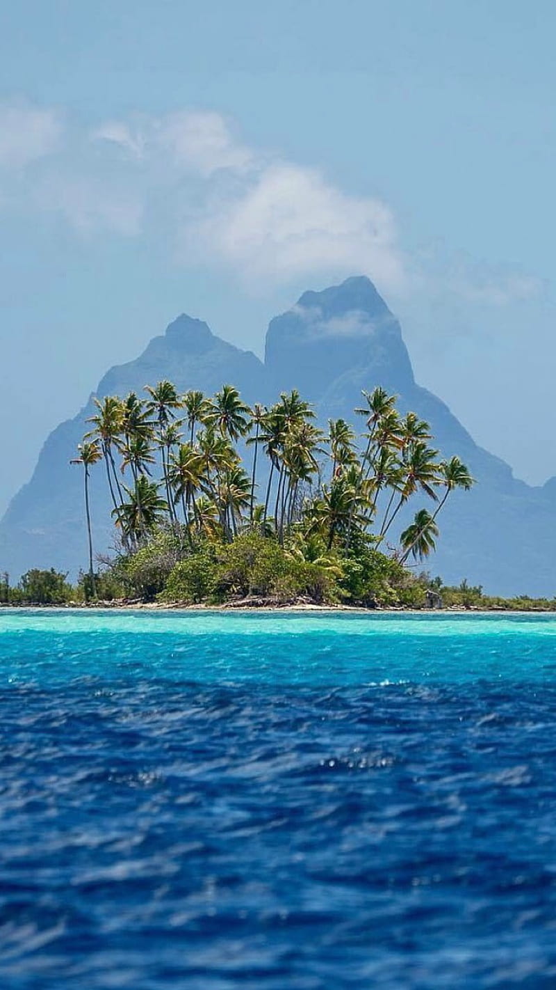800x1422 Bora Bora, polynesia, tropical, HD phone wallpaper
