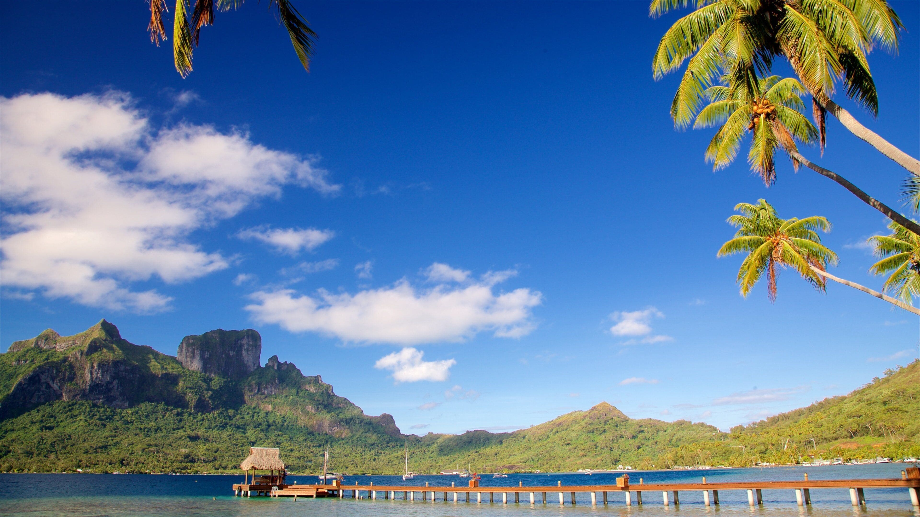 3840x2160 Visit French Polynesia: 2026 Travel Guide for French Polynesia, Australia Zealand and the South Pacific