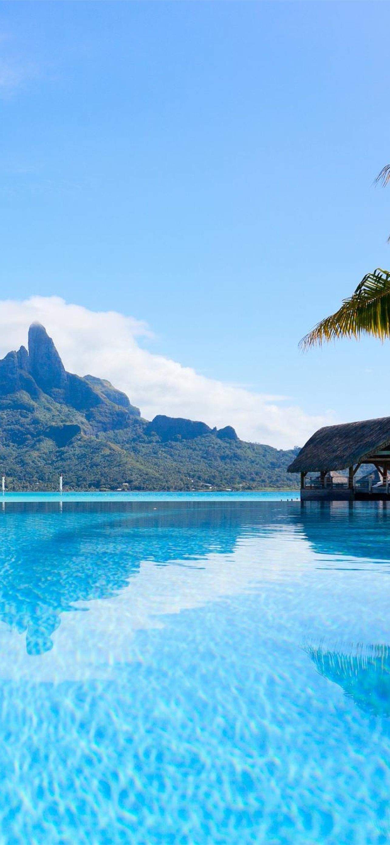 1284x2778 polynesia iPhone Wallpaper Free Download