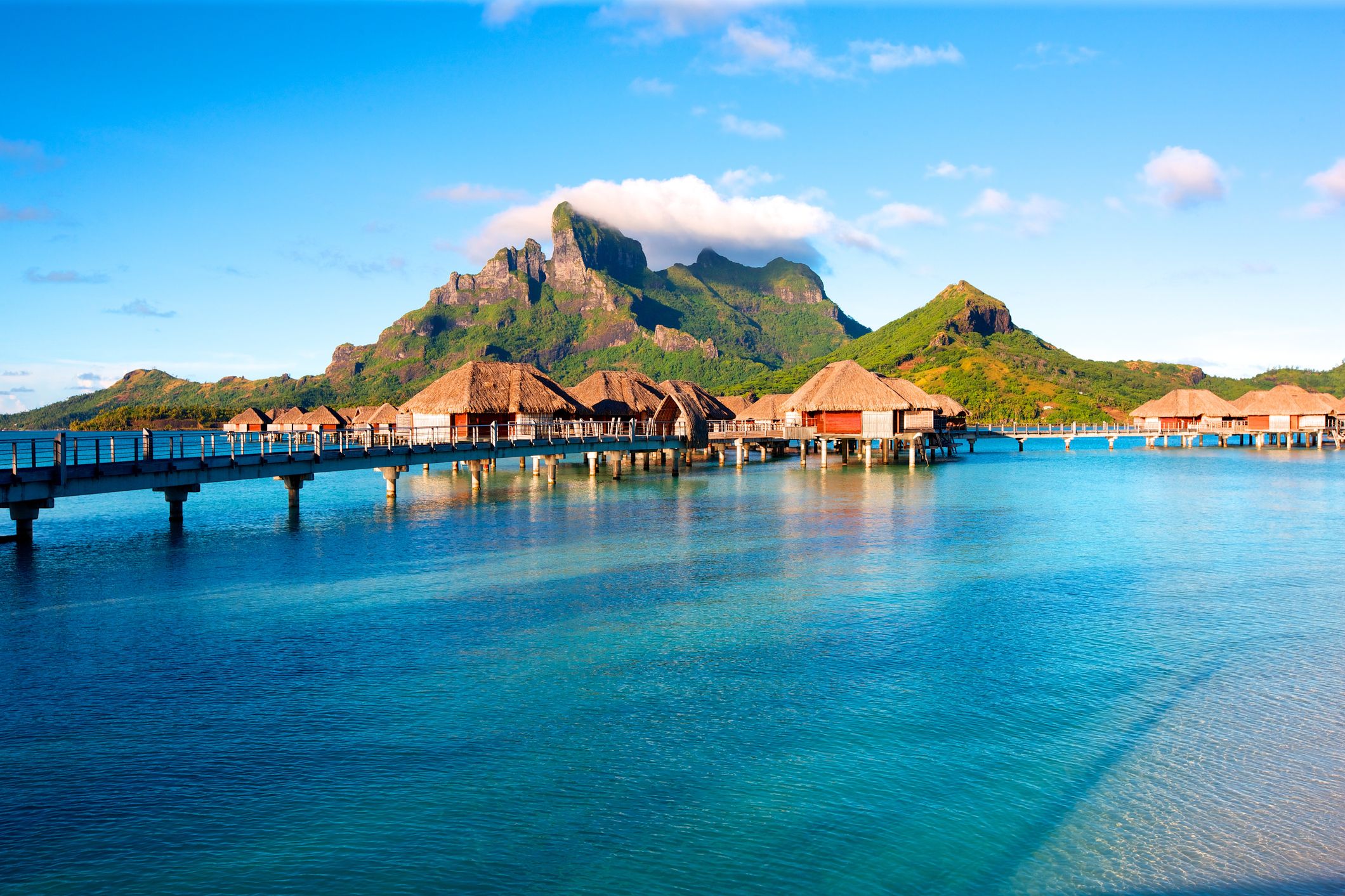 2120x1413 Polynesian Decadence