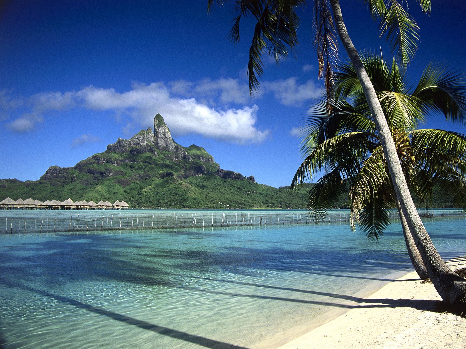 1600x1200 Bora Bora Shoreline French Polynesia picture, Bora Bora Shoreline French Polynesia photo, Bora Bora Shoreline French Polynesia wallpaper