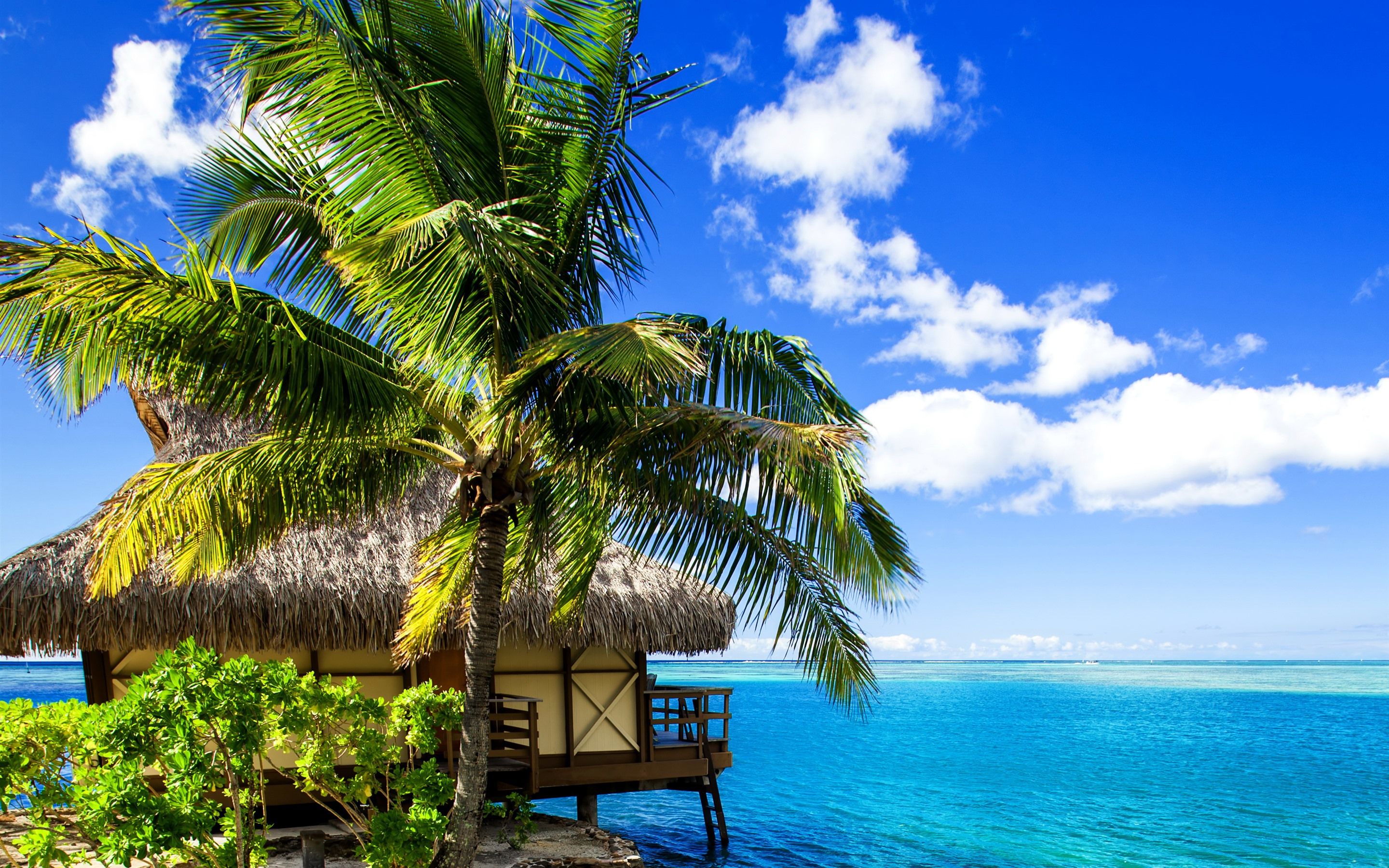 2880x1800 Wallpaper French Polynesia, Bora Bora, Palm Trees, House, Sea, Beach 2880x1800 Picture, Image