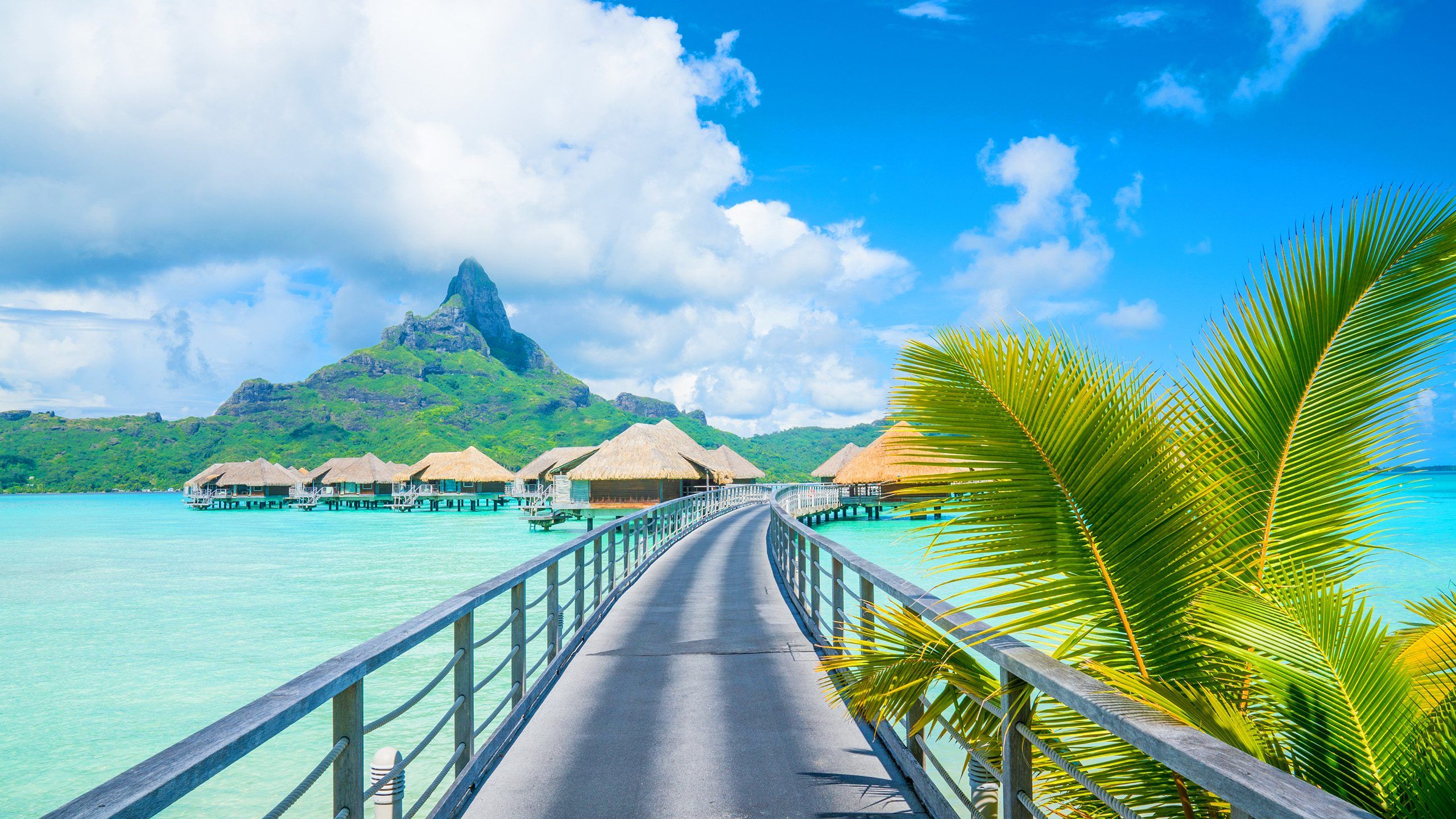 2560x1440 French Polynesia Archives's Been Here