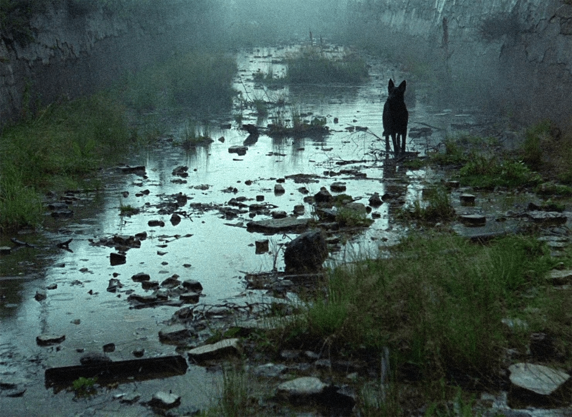 2220x1620 Took some screenshots of stalker to use as wallpaper this movie is so pretty